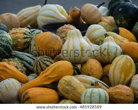 pumpkins