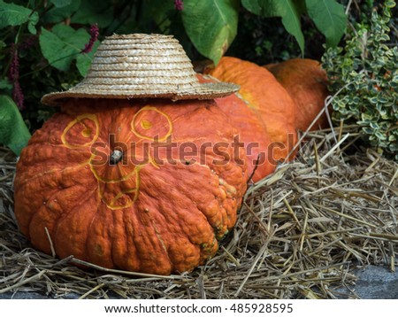 pumpkins