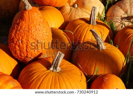 Pumpkins