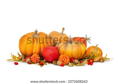 Pumpkins, acorns, red berries and autumnal colorful maple leaves on a white background with space for text