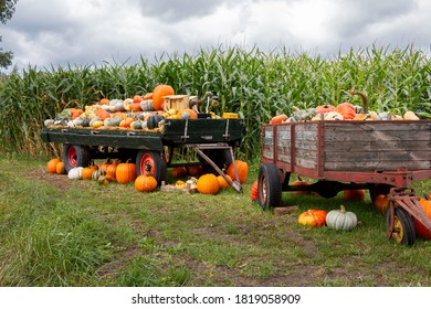 476,390 Fall on the farm Images, Stock Photos & Vectors | Shutterstock