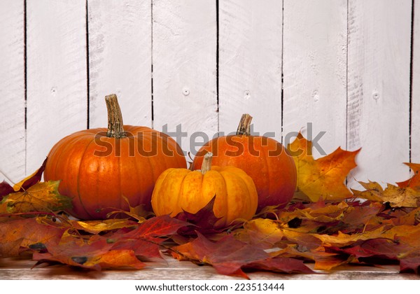 autumn fall pumpkins