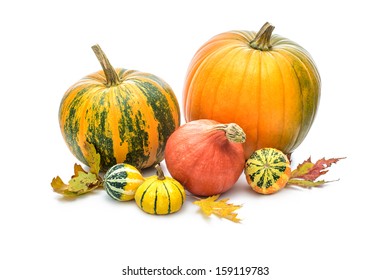 Watercolor Pumpkin Corner Border Clipart Thanksgiving Stock ...