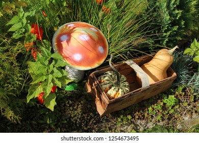 pumpkins in a basket