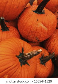 Pumpkins From A Cider Mill.