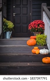 Pumpkins, Colorful Potted Flowers And Plants On Front Door Steps Of The House, Autumn Holidays Decoration