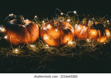 Pumpkins decorated with fairy lights for Halloween party outdoors - Shutterstock ID 2216643283