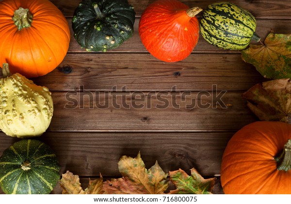 Pumpkins Different Typesgood Eat Decorative Place Stock Photo