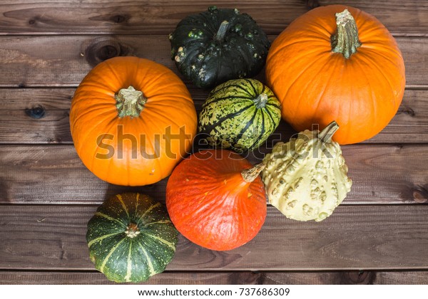 Pumpkins Different Typesgood Eat Decorative Place Stock Photo