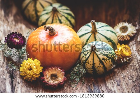 Pumpkins and dried flower. Thanksgiving day or halloween, autumn greeting background. Fall season still life concept