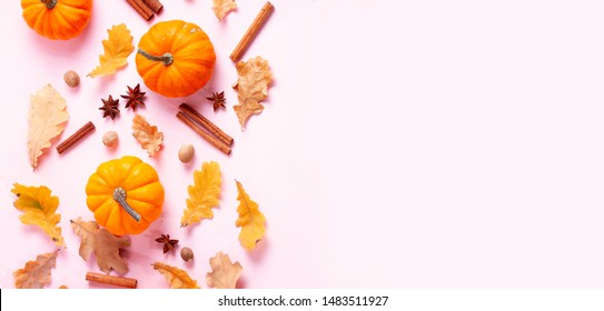 Pumpkins, Fall Leaves And Spices On Pink Flat Lay Top View Autumn Background With Copy Space, Web Banner Fromat