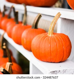 Pumpkins at the farm
