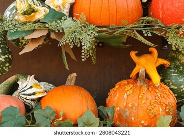 Pumpkins and gourds decoration at a pumpkin patch in Beaumont, Texas