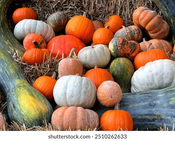 Pumpkins gourds harvest in the hay - Powered by Shutterstock