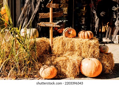 Pumpkins, hay, decor outside on a sunny day. Halloween