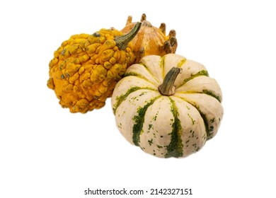 Pumpkins Isolated On White Background. Ugly Vegetables Are Edible. Reduce Organic Food Waste.