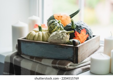 Pumpkins Next To The Window With Candles, Book And Warm Blanket. Cozy Home Atmosphere In Sunny Autumn Day. Cozy Fall Composition.