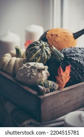 Pumpkins Next To The Window With Candles, Book And Warm Blanket. Cozy Home Atmosphere In Sunny Autumn Day. Cozy Fall Composition.