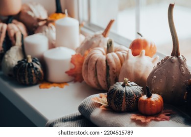 Pumpkins Next To The Window With Candles, Book And Warm Blanket. Cozy Home Atmosphere In Sunny Autumn Day. Cozy Fall Composition.