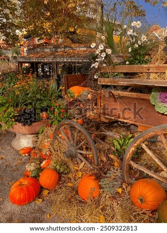 Pumpkins in an old carrage