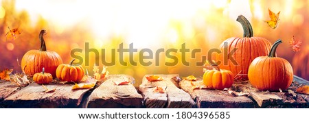 Pumpkins On Aged Plank At Sunset - Autumn And Harvest Concept