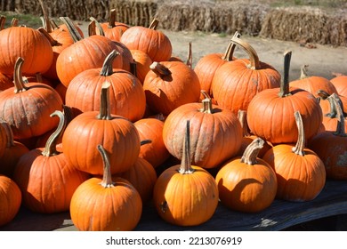 Pumpkins On A Farm Stand For Sale