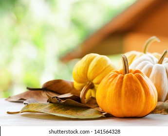 Pumpkins on rural landscape background. - Powered by Shutterstock