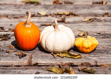 Pumpkins On A Rustic Wood Porch
