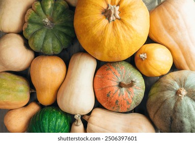 Pumpkins on the table. Autumnal Background. Halloween party. Thanksgiving day. Halloween decor with various pumpkins, autumn vegetables and flowers. Harvest and decoration.Thanksgiving day concept. - Powered by Shutterstock