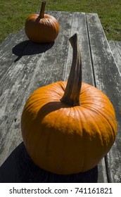 Pumpkins On A Weathered Wood Picnic Table