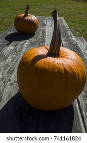 Pumpkins On A Weathered Wood Picnic Table