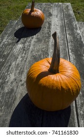 Pumpkins On A Weathered Wood Picnic Table