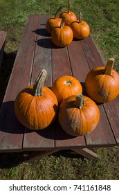 Pumpkins On A Weathered Wood Picnic Table