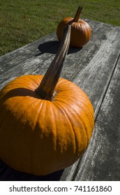 Pumpkins On A Weathered Wood Picnic Table