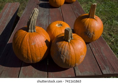 Pumpkins On A Weathered Wood Picnic Table