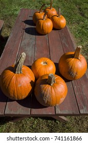 Pumpkins On A Weathered Wood Picnic Table