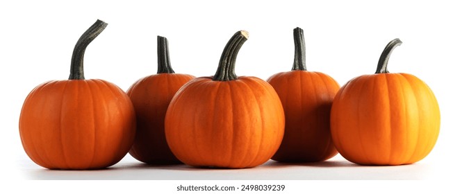 a lot of pumpkins on white