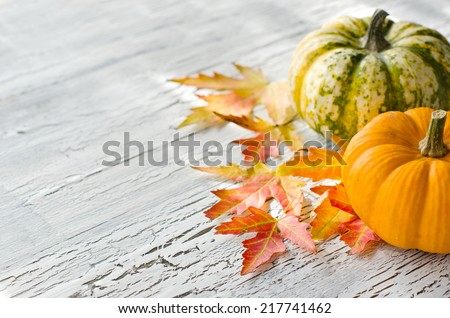 Pumpkins with orange and red autumn leaves on cracked background