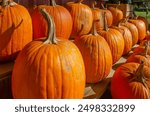 Pumpkins and other seasonal produce is displayed at a farmer