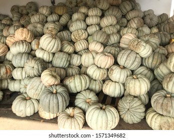 Pumpkins in a row composition made from organic new crop pumpkin product in different compositions 