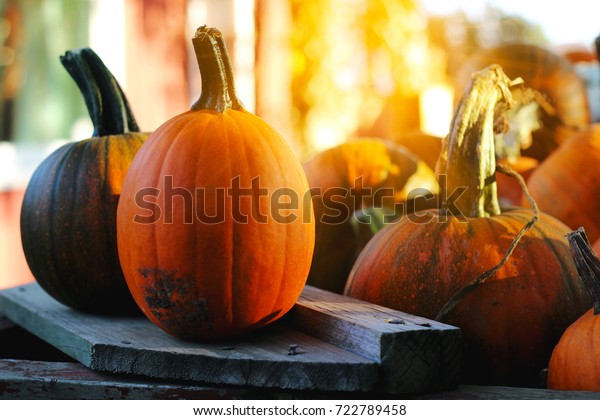 Pumpkins Sale American Farm Barns Autumn Stock Photo Edit Now