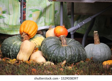 Pumpkins For Sale In Local Craft Fair In Valmiera, Latvia