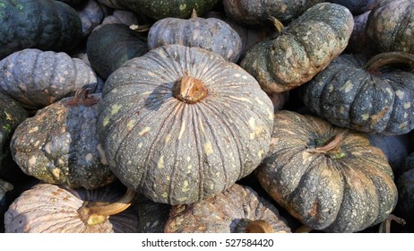 Pumpkins show in a group for sale in a local market in thailand. - Shutterstock ID 527584420