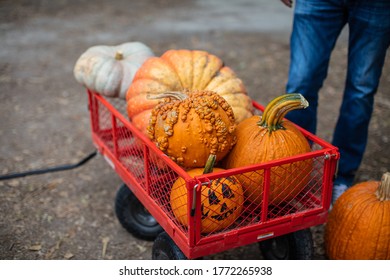 pumpkins sitting in a wagon