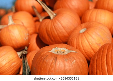 Pumpkins in stack. This image shows halloween celebration concept.