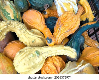 Pumpkins with various curious shapes and colors - Shutterstock ID 2036373974