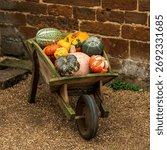 pumpkins in a wheel barrow 