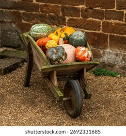 pumpkins in a wheel barrow 