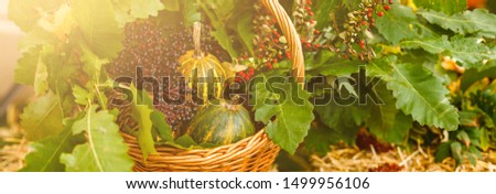 pumpkins in a wicker basket