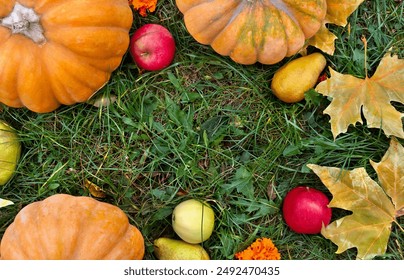 Pumpkins, yellow pears, apples and autumnal colorful maple leaves on grass with space for text. Top view, flat lay - Powered by Shutterstock